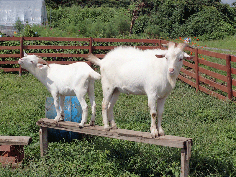 南相馬コンサート